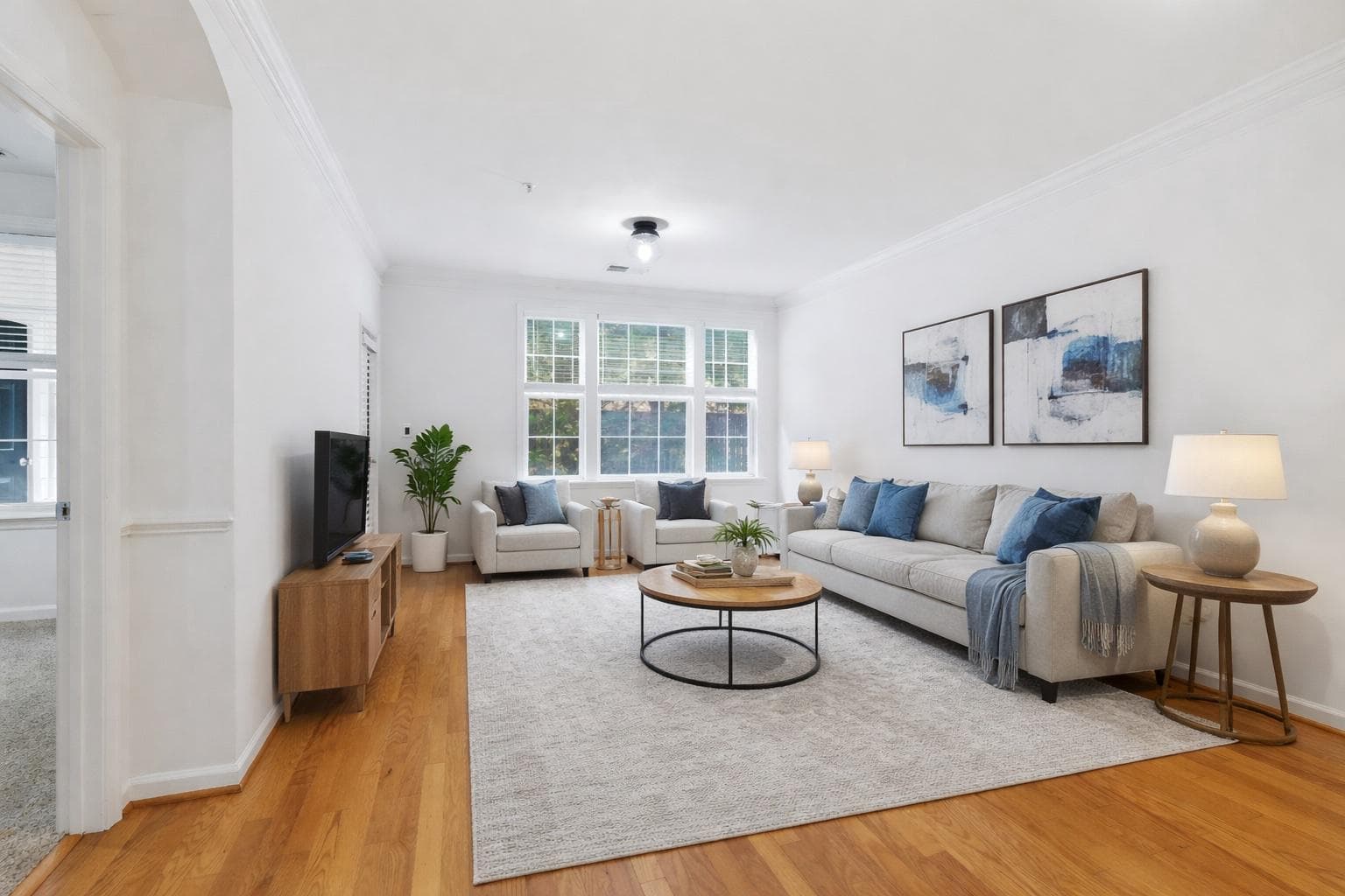 31 Booth Street #b55 photo 6