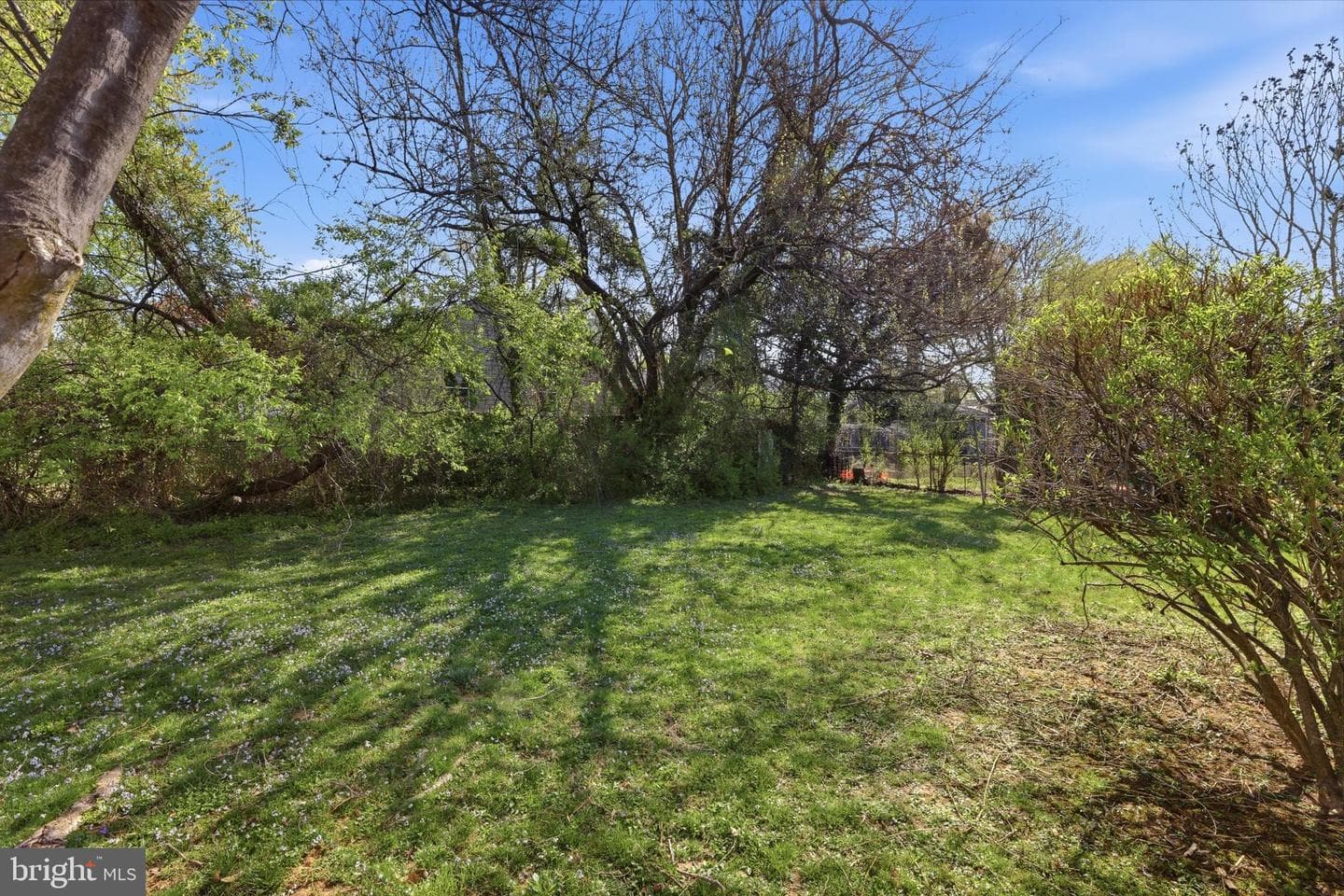 1400 Coral Sea Drive photo 20