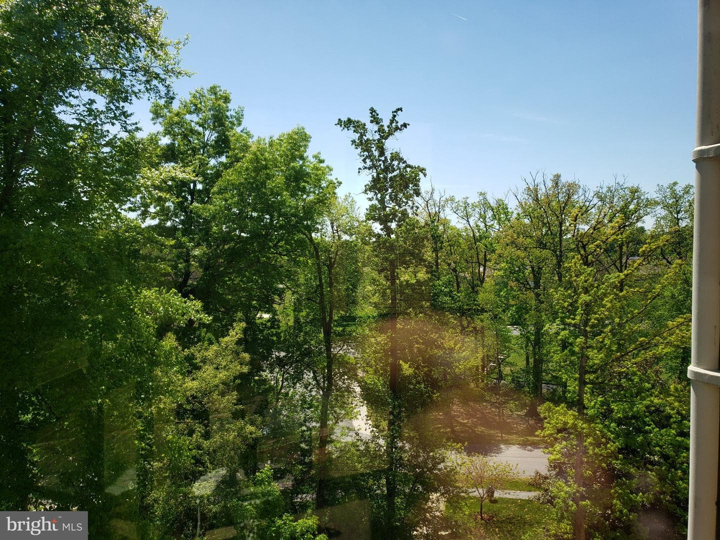 15100 Interlachen Drive #4-520 photo 27