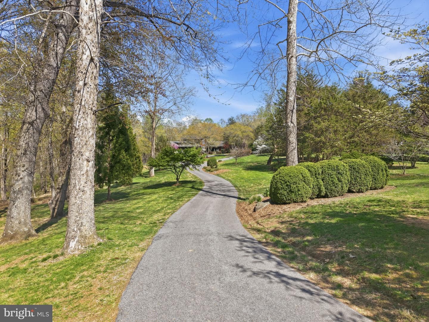13505 Deakins Lane photo 13