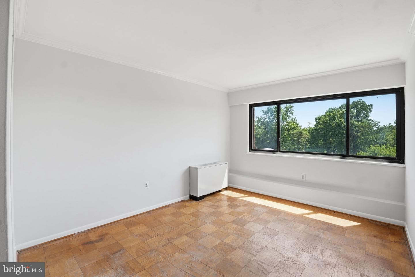 8308 Flower Avenue #501 photo 14