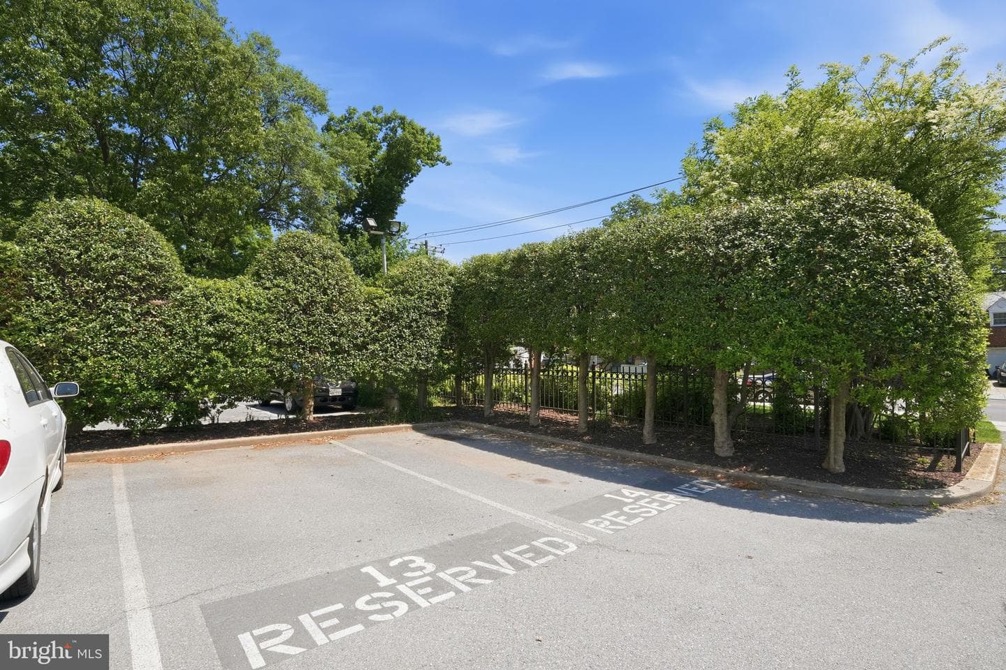 8308 Flower Avenue #501 photo 25