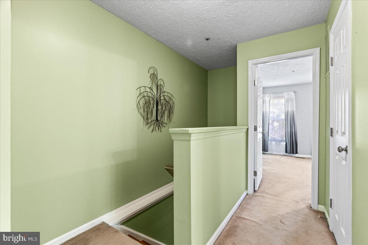 20540 Lowfield Drive photo 27