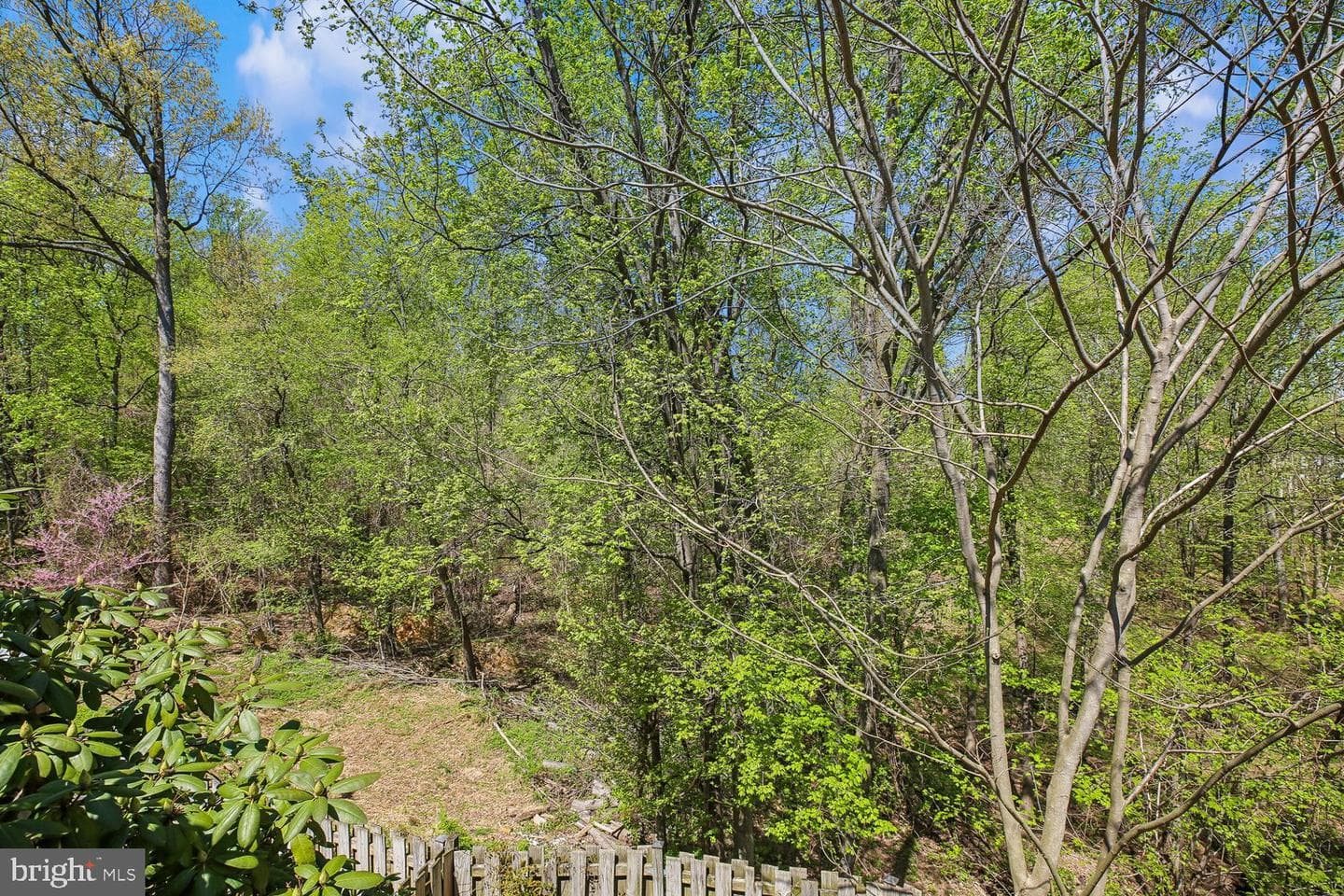 10813 Sir Barton Circle photo 38
