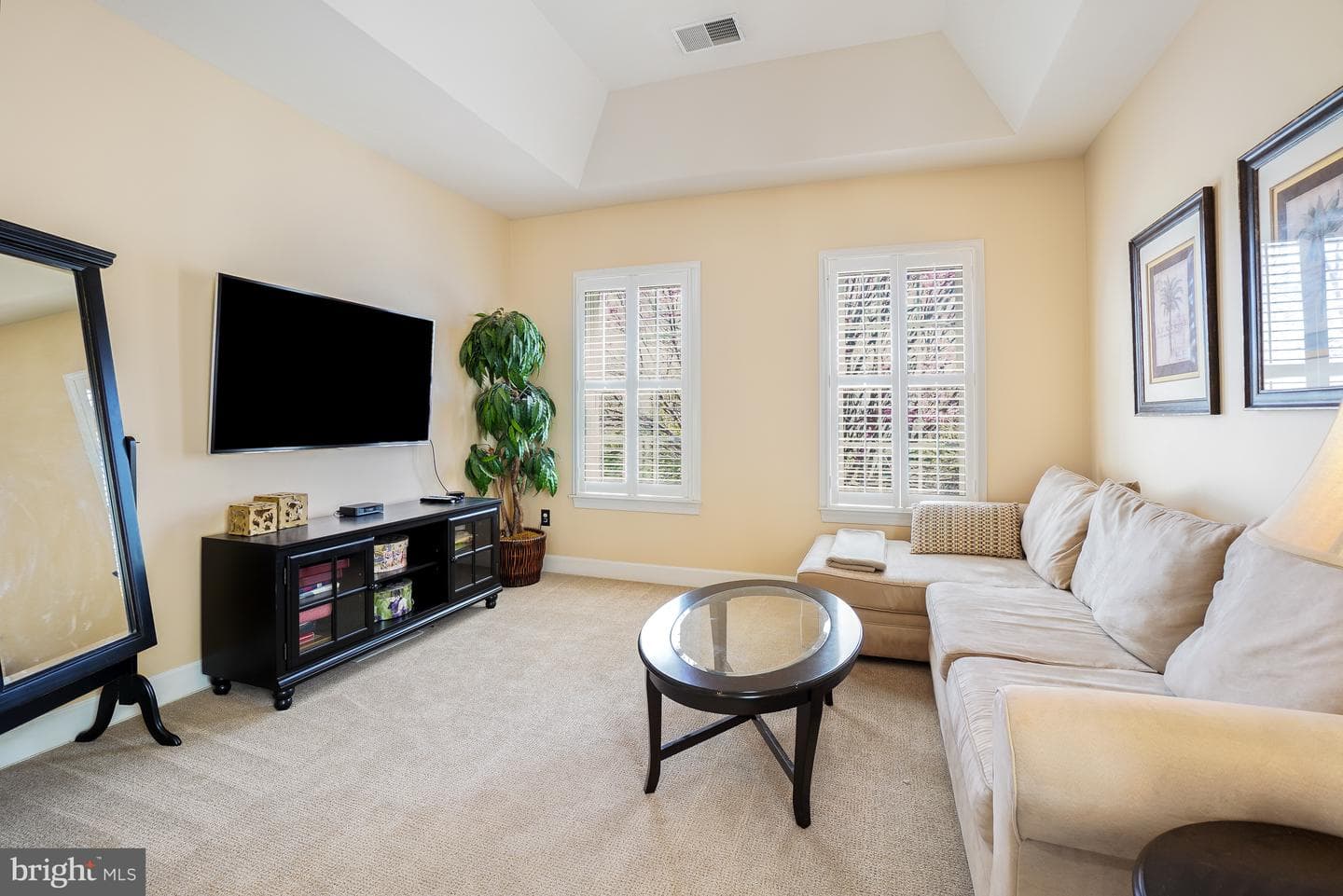 12333 Cherry Branch Drive photo 23