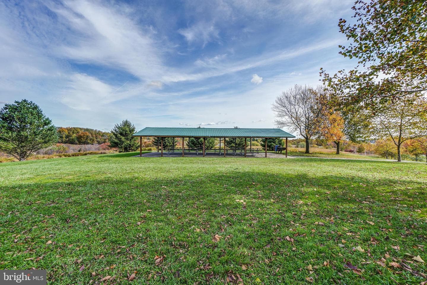 12333 Cherry Branch Drive photo 52