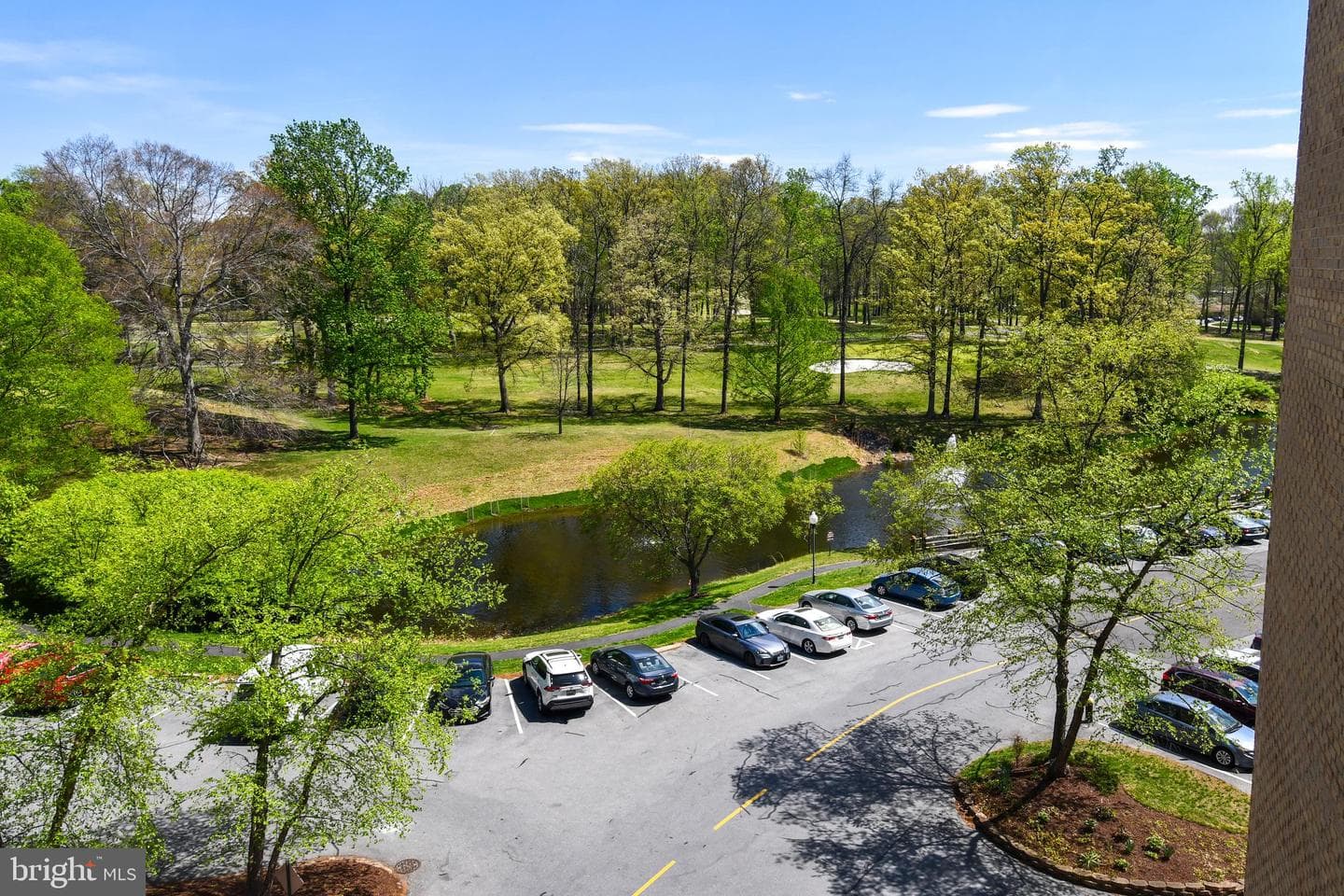 15101 Interlachen Drive #1-526 photo 17