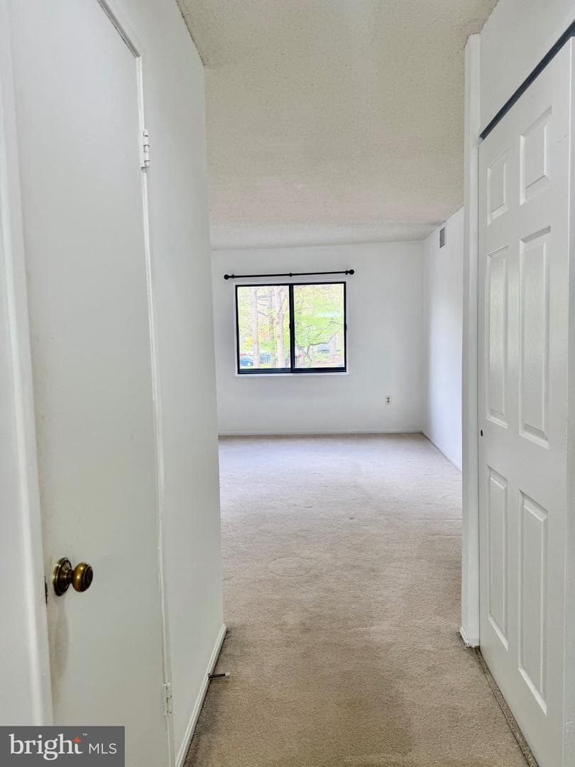 15107 Interlachen Drive #2-119 photo 11