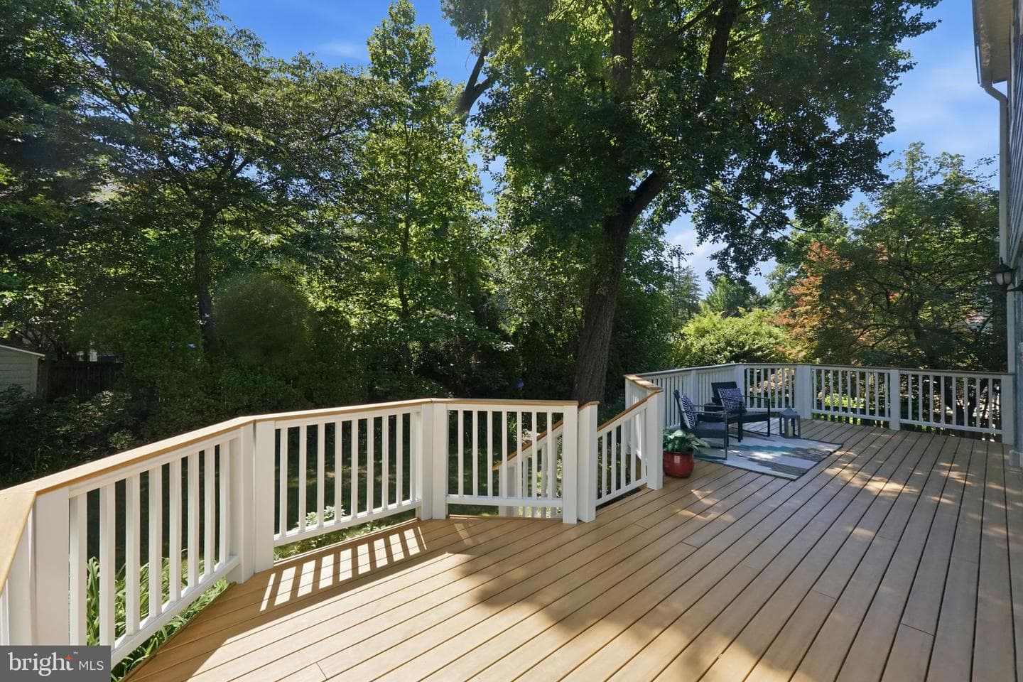 9223 Adelaide Drive photo 23