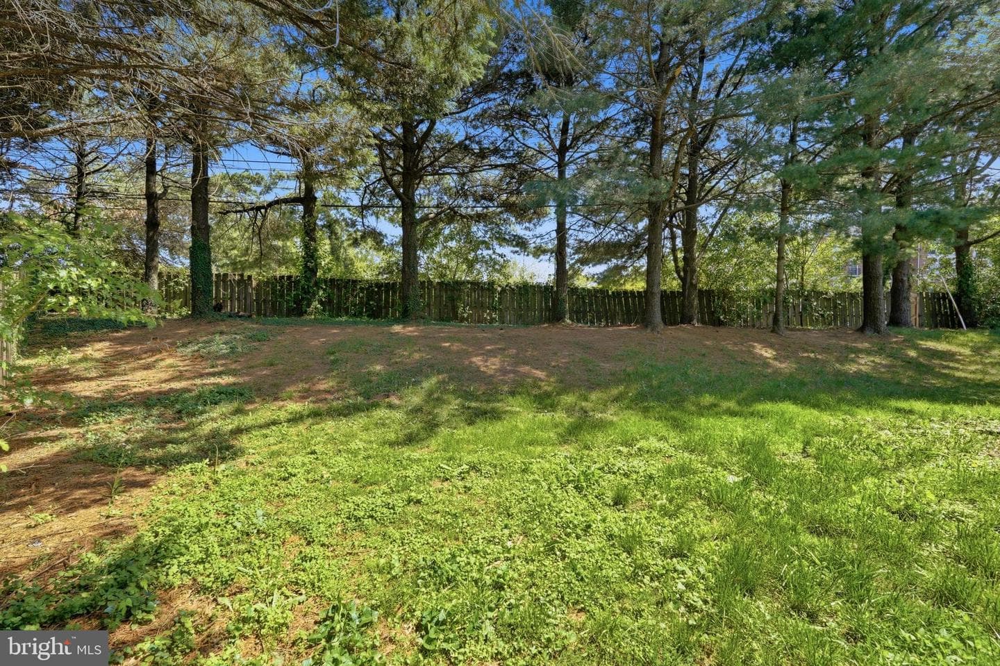 6 Bostwick Court photo 36
