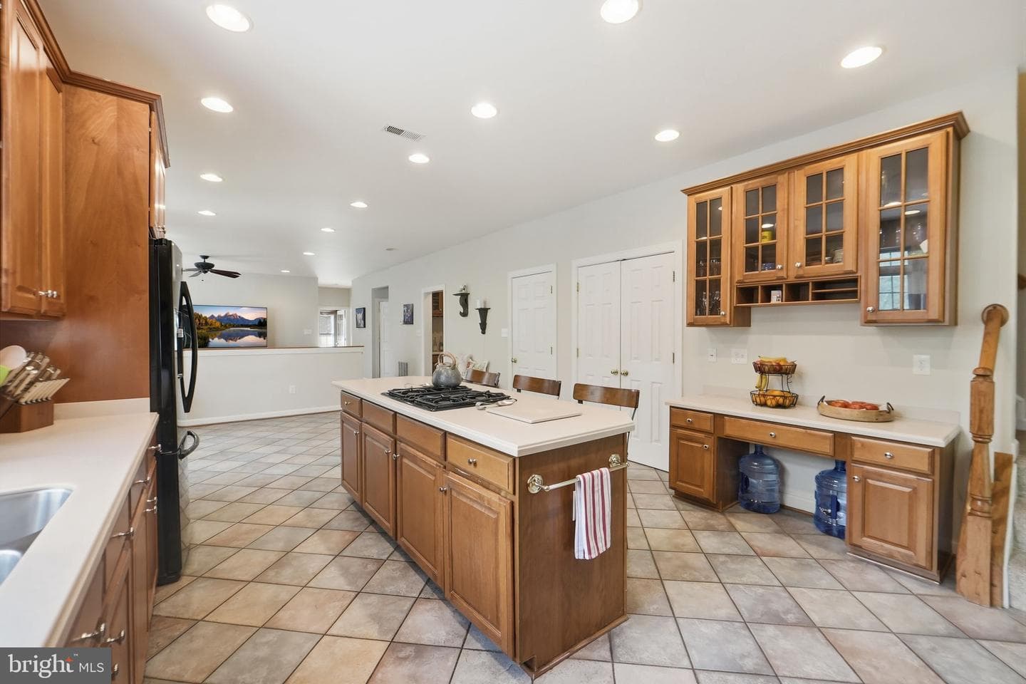 15242 Briarcliff Manor Way photo 14