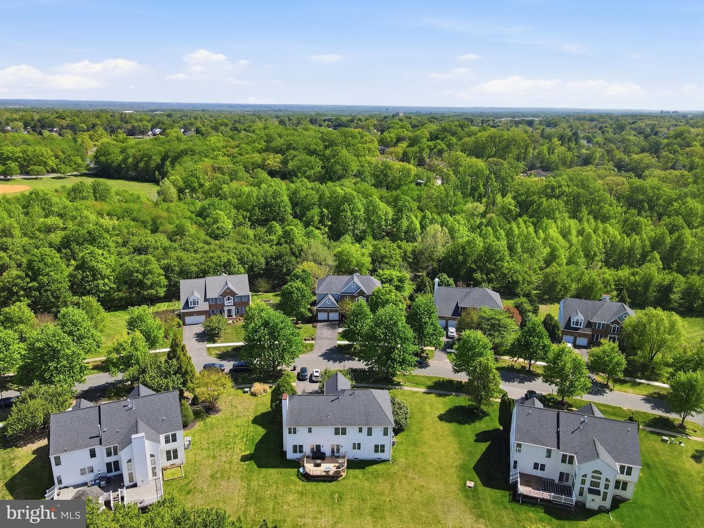 15242 Briarcliff Manor Way photo 66