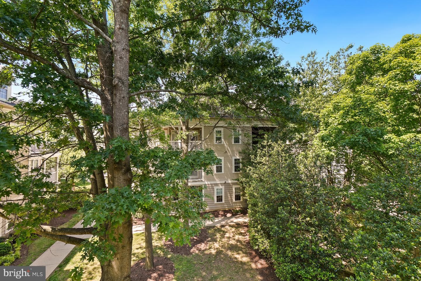 18101 Cloppers Mill Ter # 12B photo 14