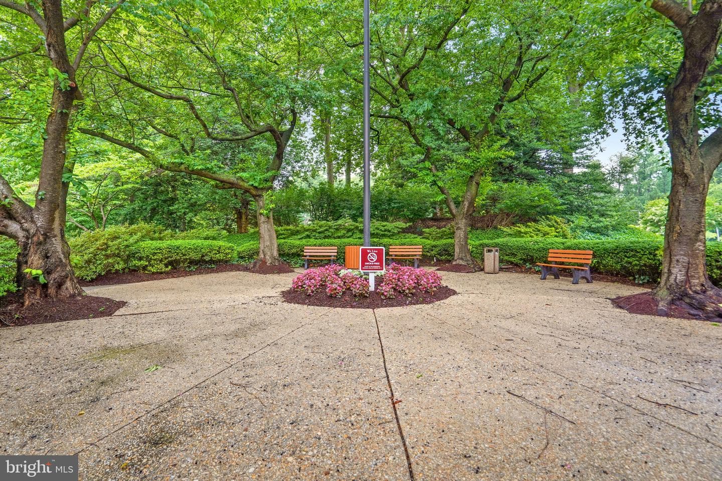 5225 Pooks Hill Road #804n photo 35