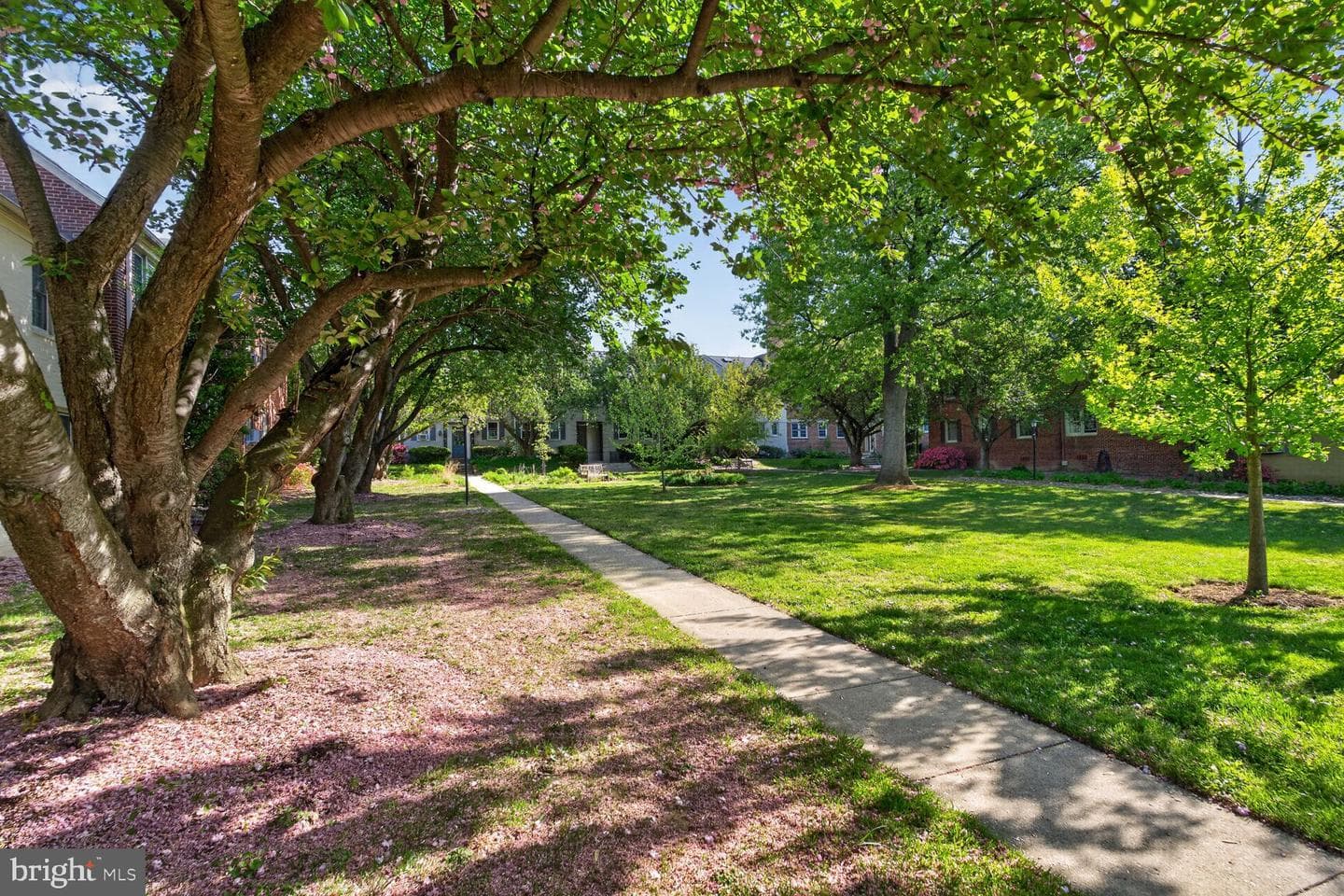 2300 Colston Drive #201 photo 21
