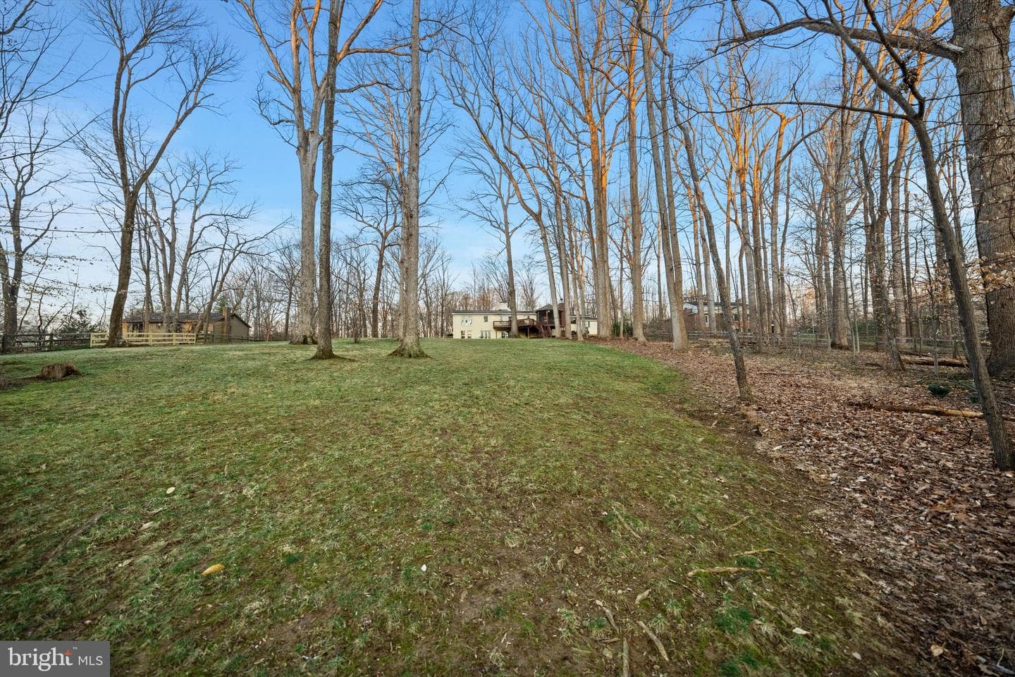 8505 Horseshoe Lane photo 19
