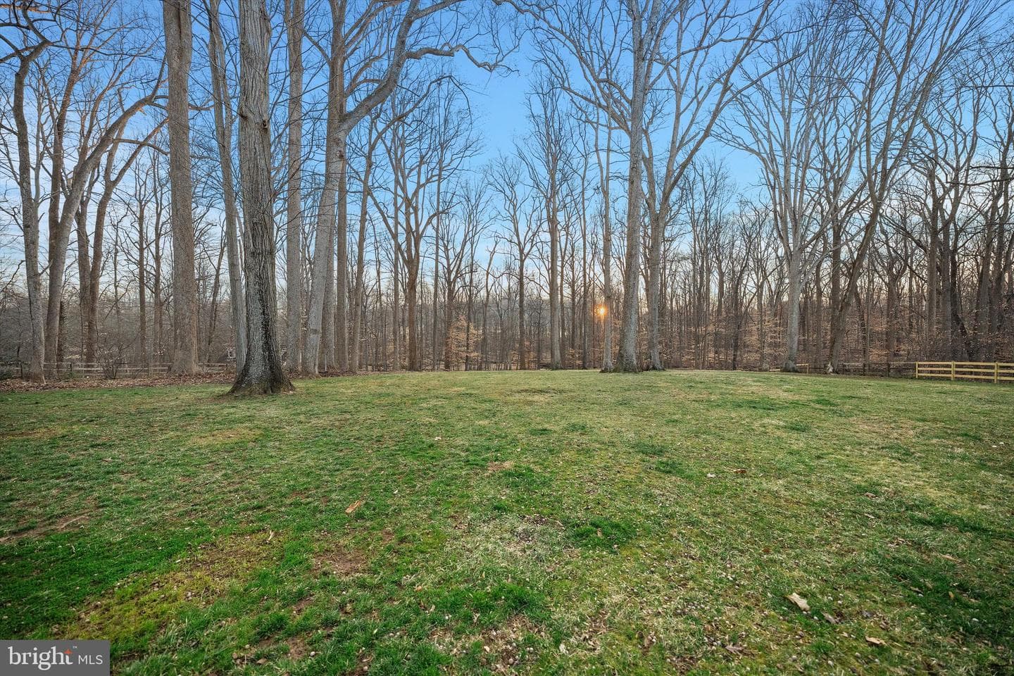 8505 Horseshoe Lane photo 20