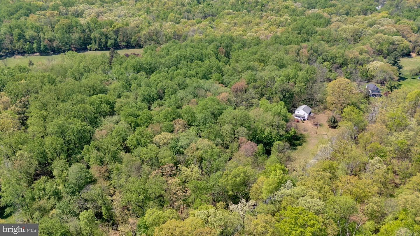 20730 Big Woods Road photo 5