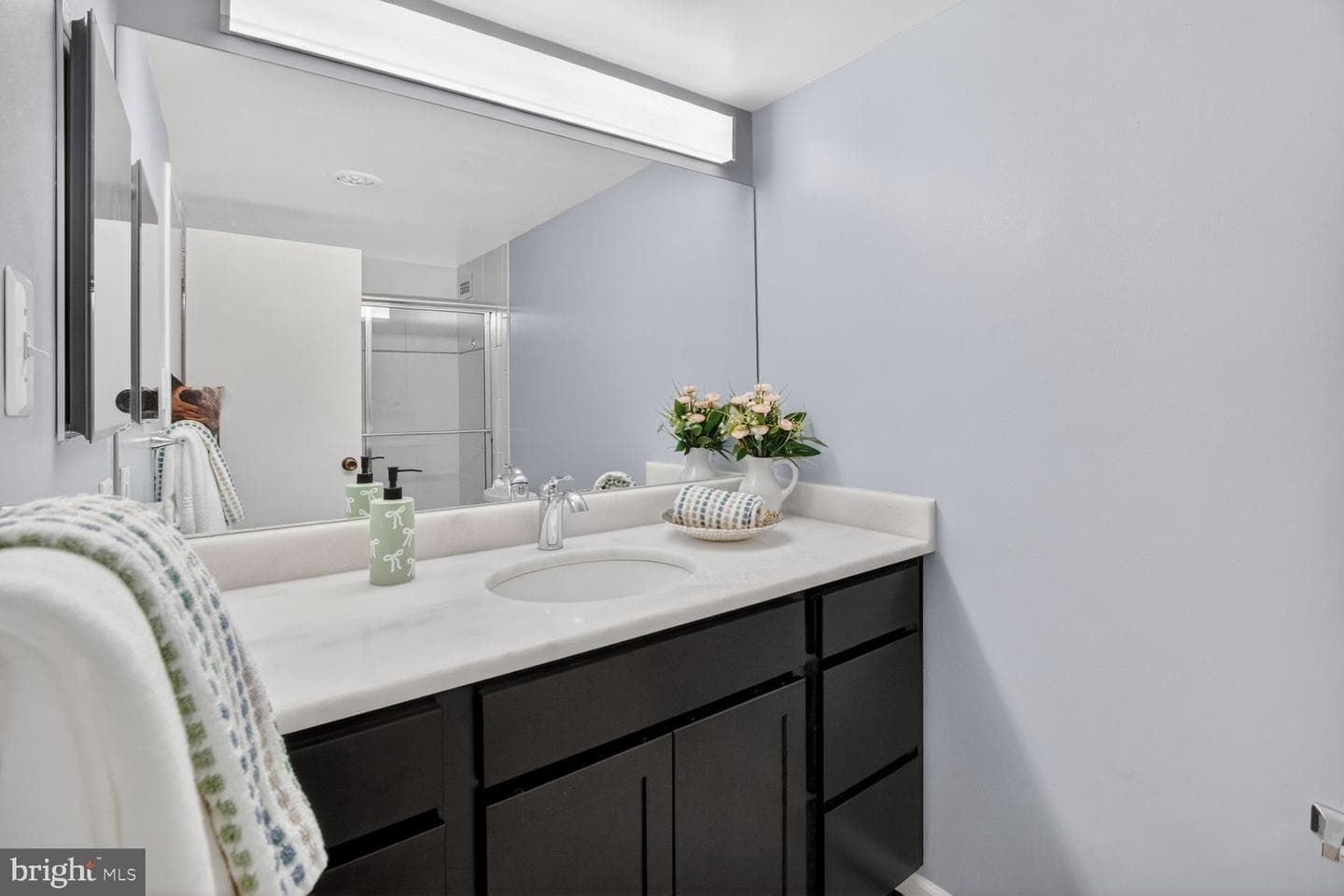 5225 Pooks Hill Road #1301n photo 14