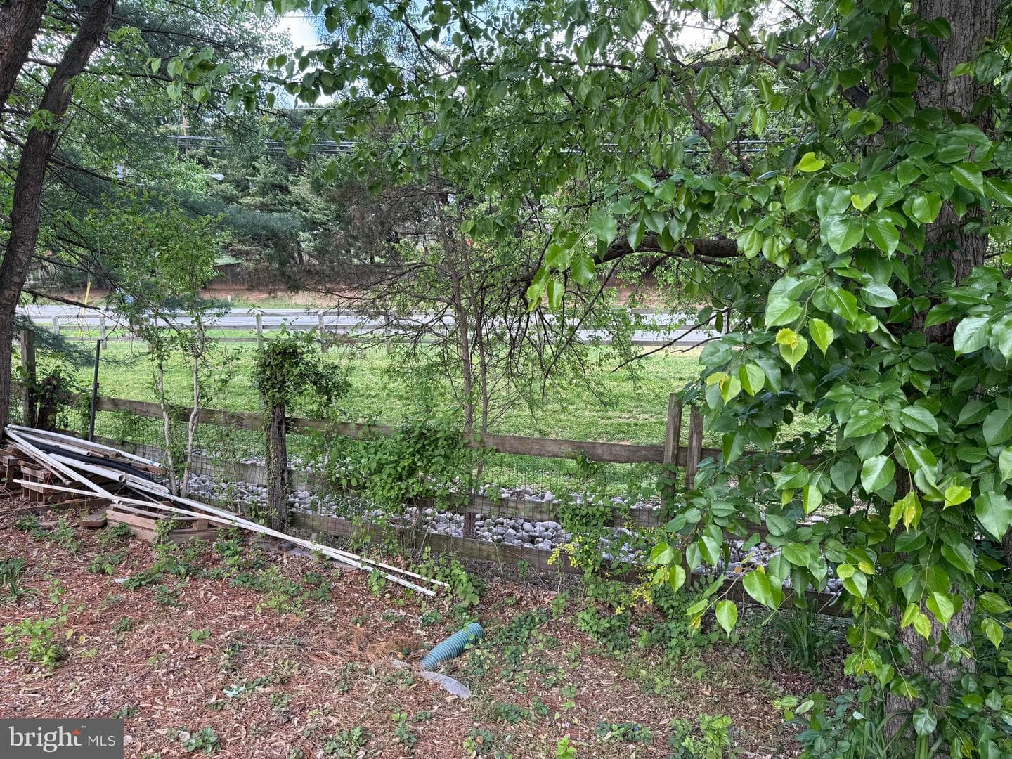 11433 Grey Colt Lane photo 13
