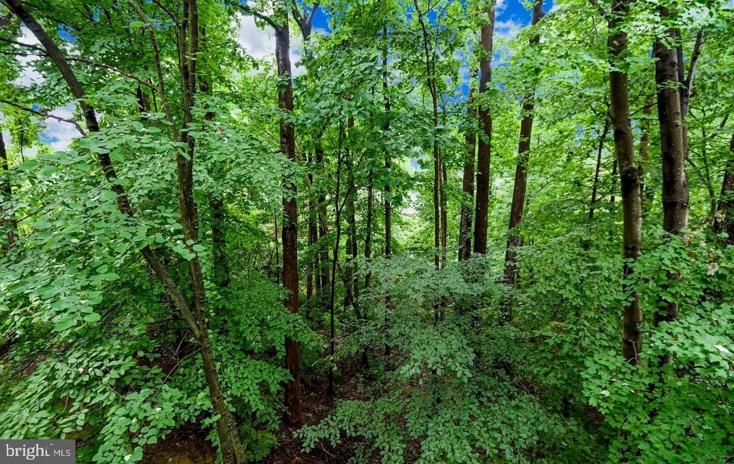 10715 Hampton Mill #210 photo 30