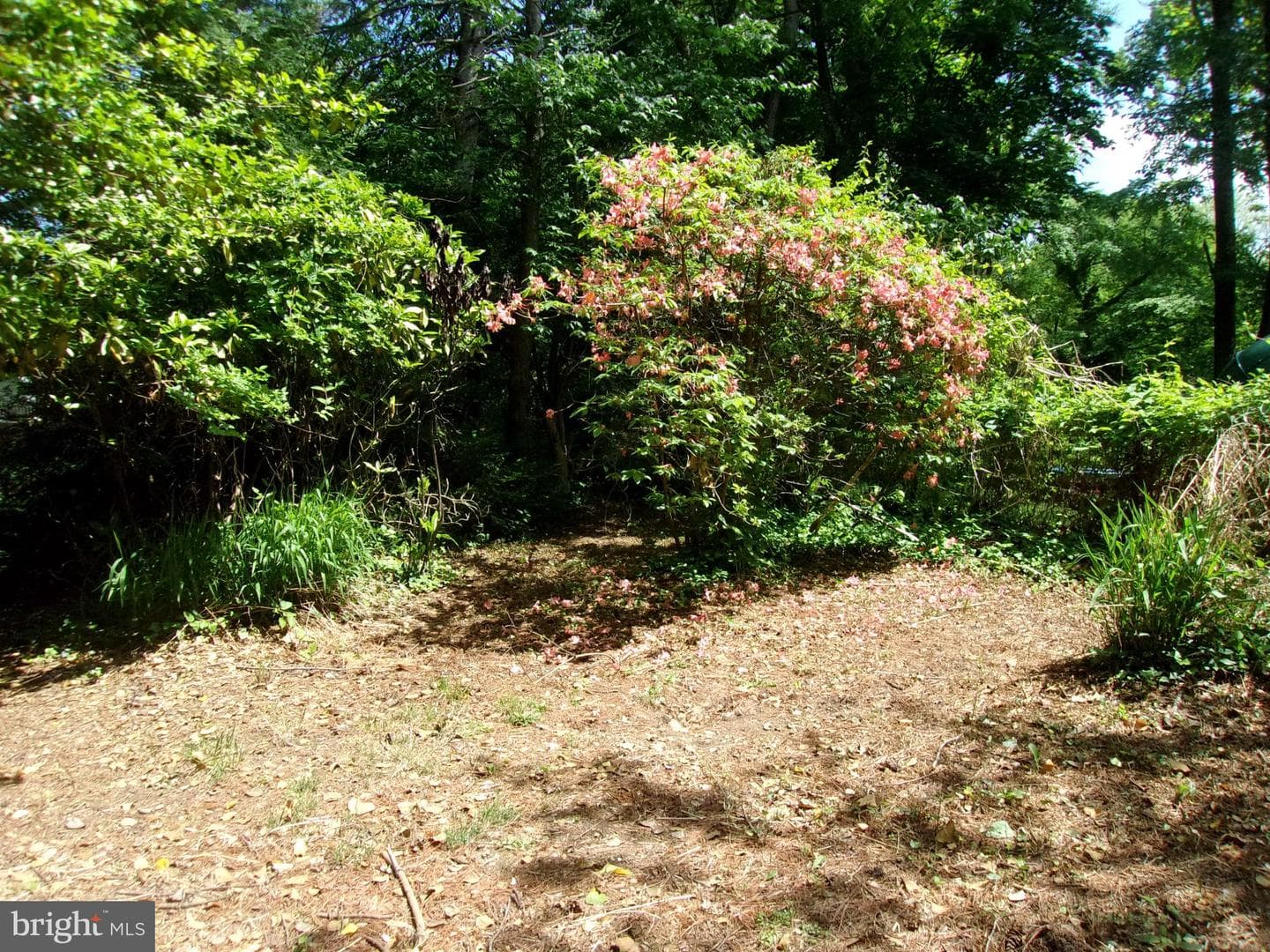 25 Maryland Avenue photo 81