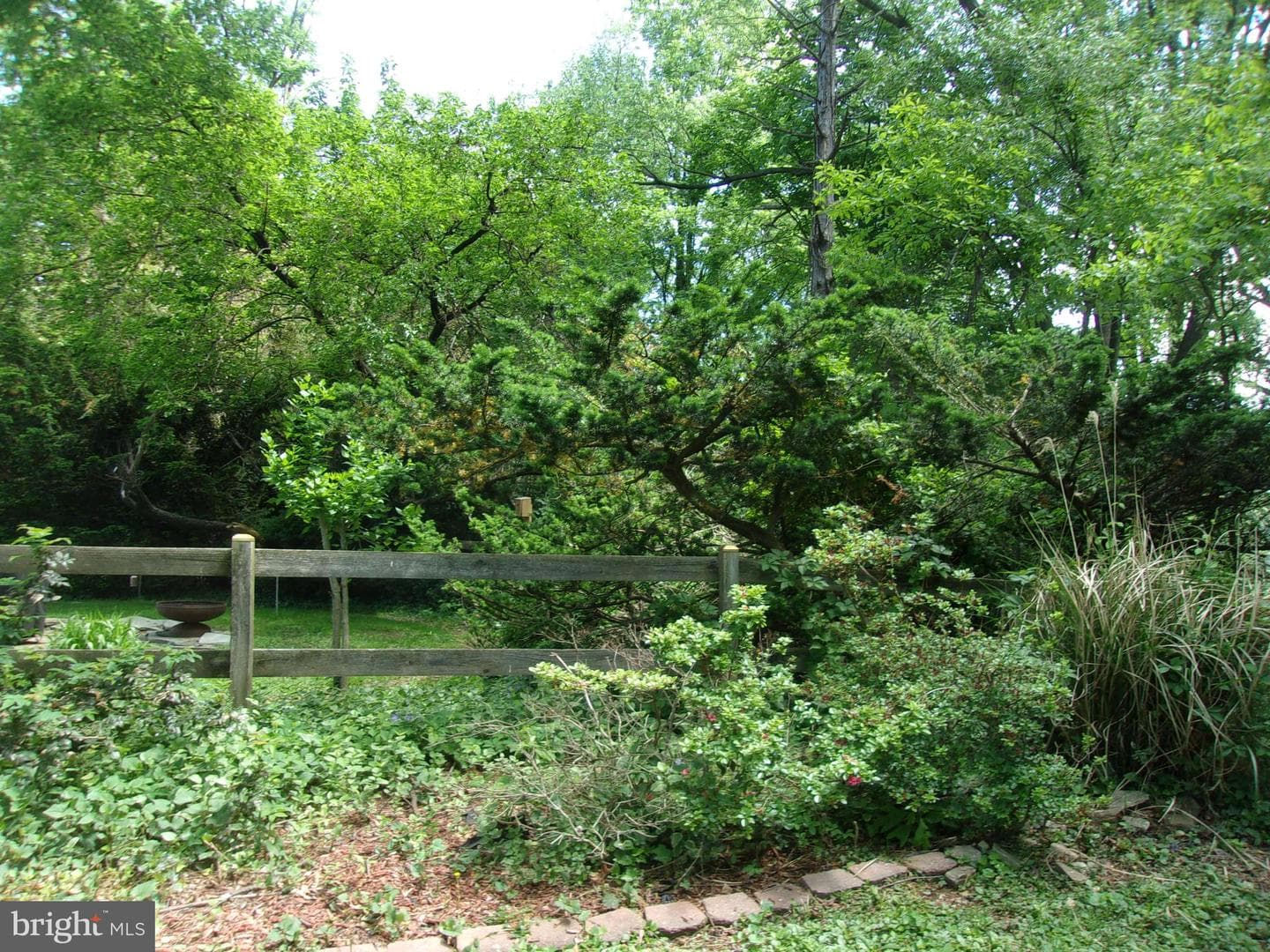25 Maryland Avenue photo 85