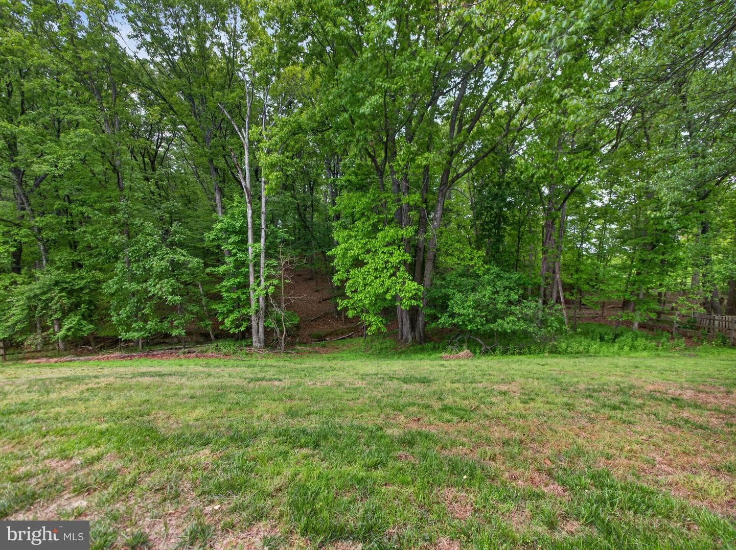 14512 Triple Crown Place photo 11