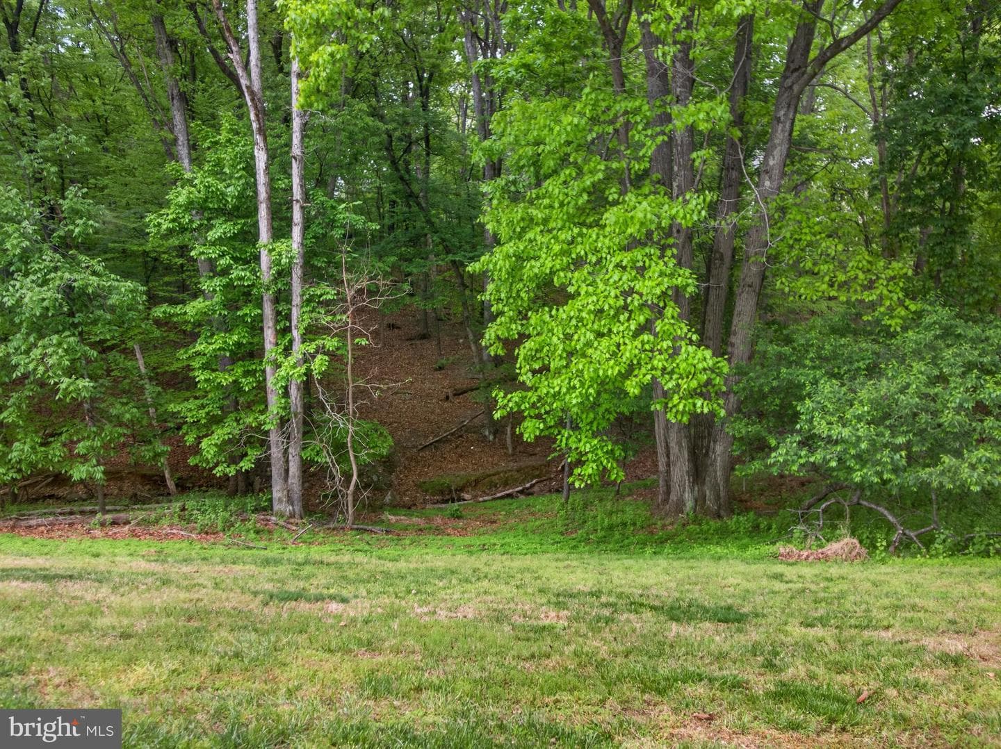 14512 Triple Crown Place photo 12