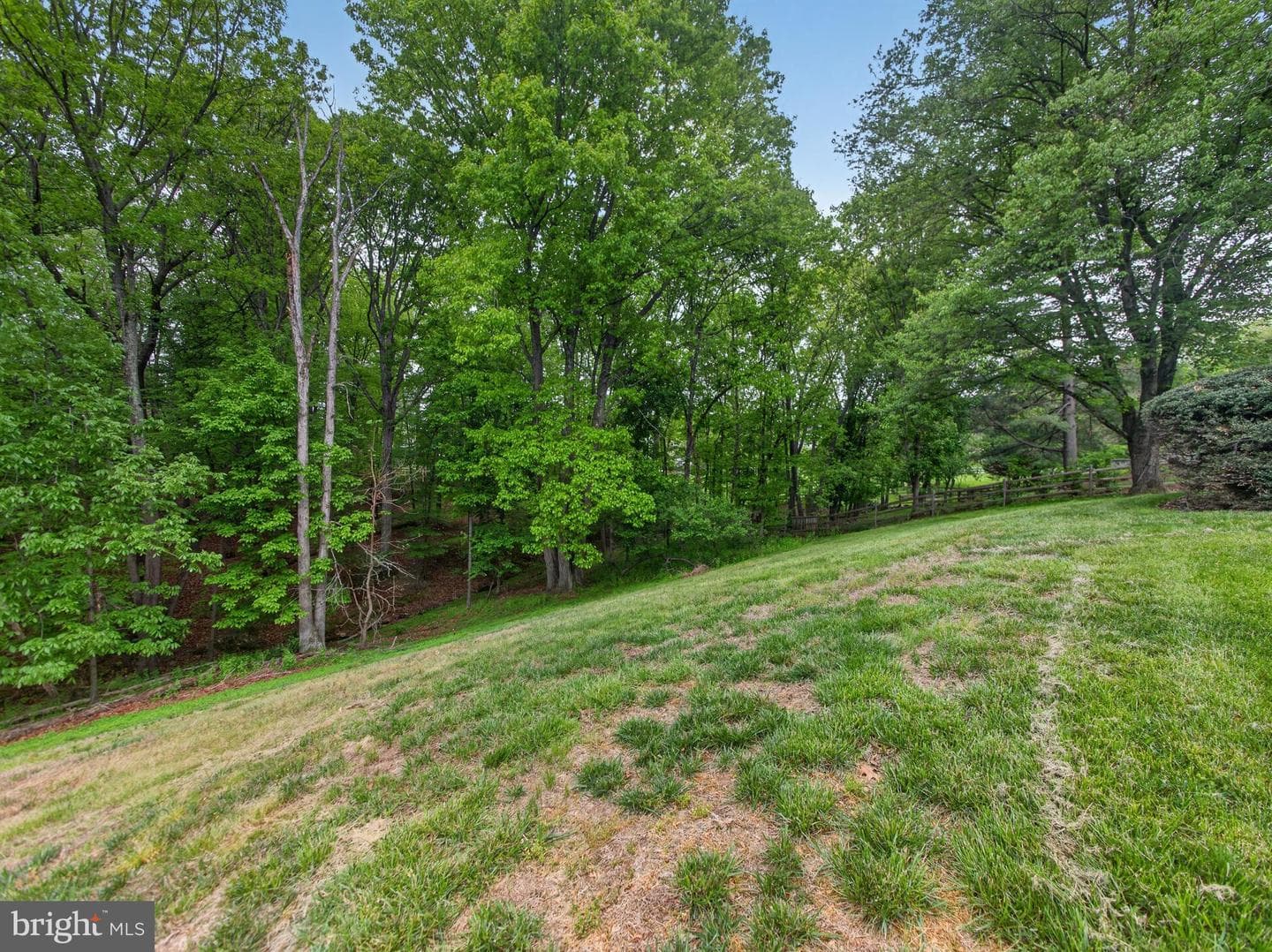 14512 Triple Crown Place photo 13