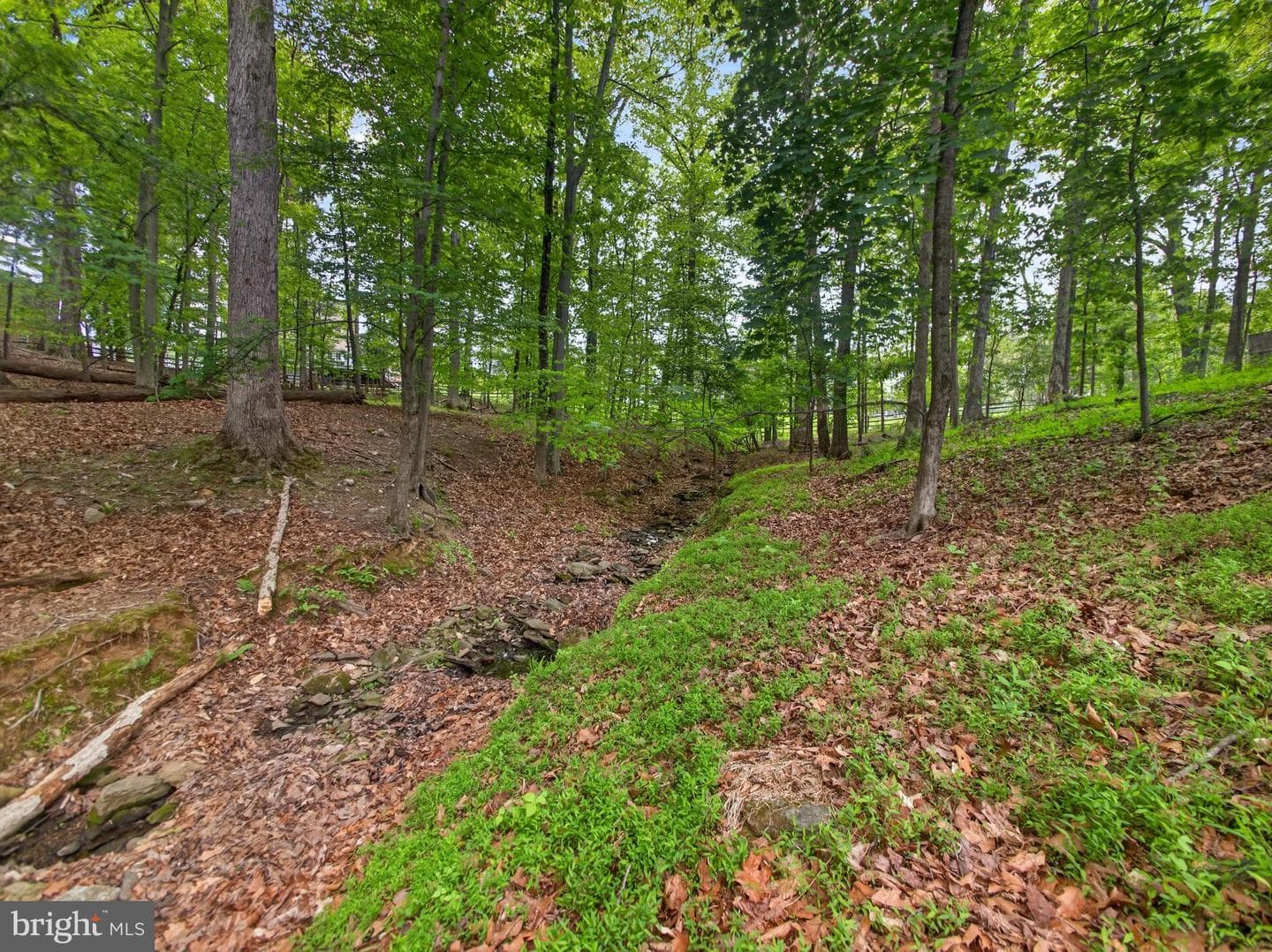 14512 Triple Crown Place photo 15
