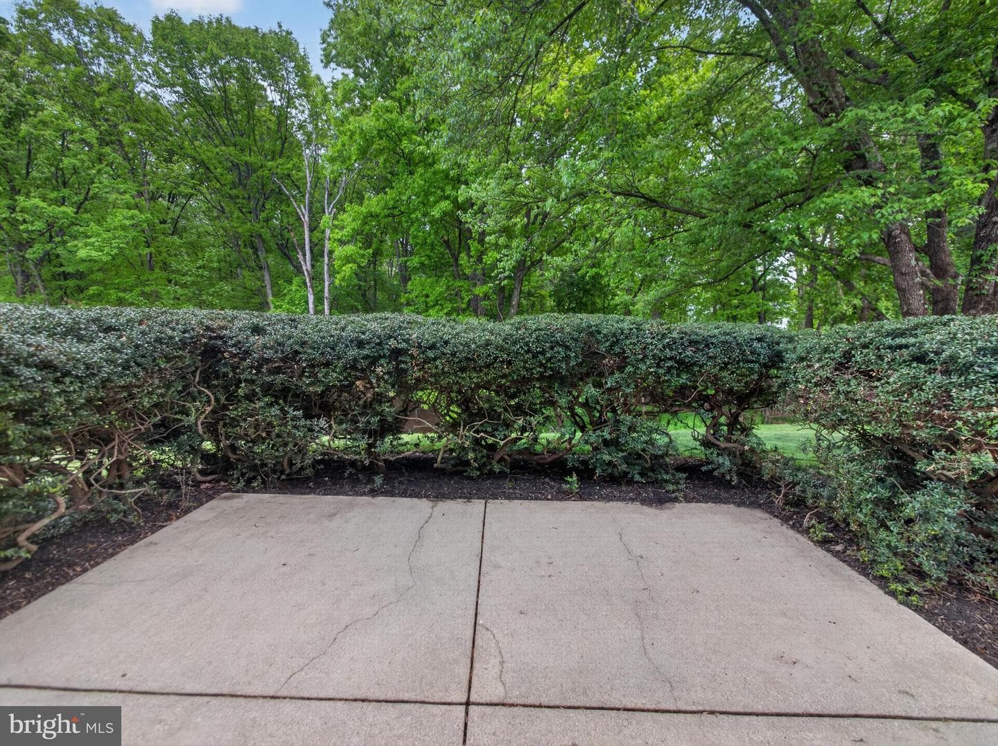 14512 Triple Crown Place photo 8