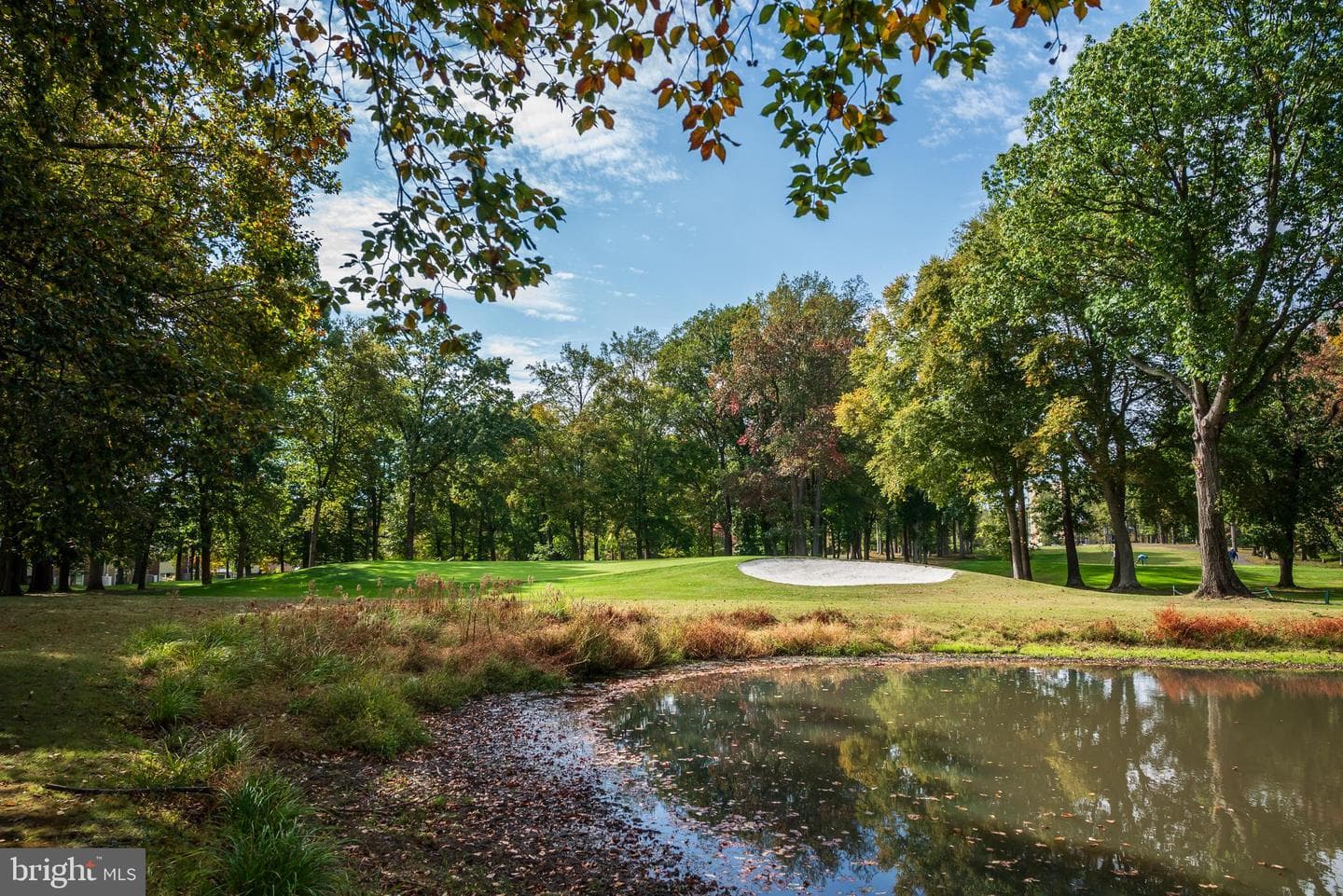 15100 Interlachen Drive #4-521 photo 44