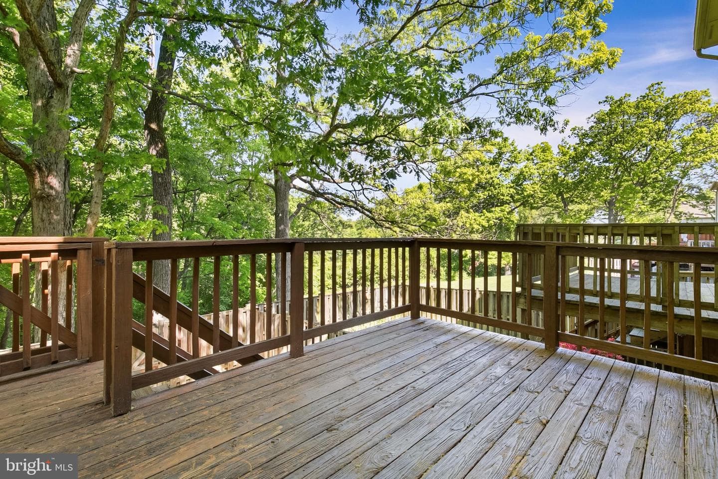 3810 Angelton Court photo 13