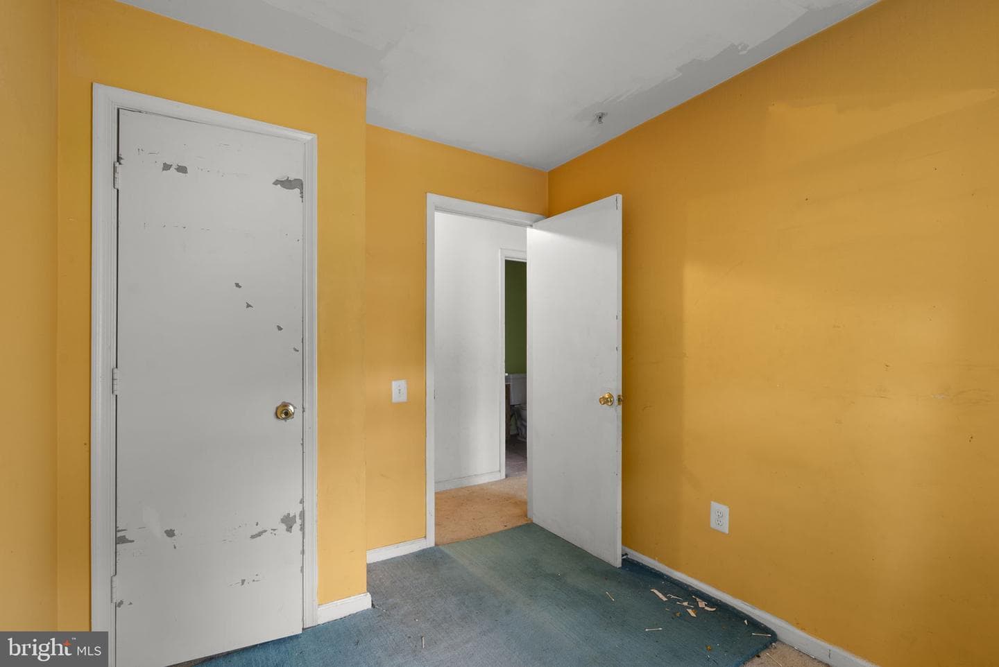 12416 Carters Grove Place photo 22