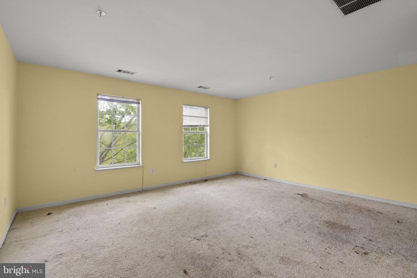 12416 Carters Grove Place photo 28