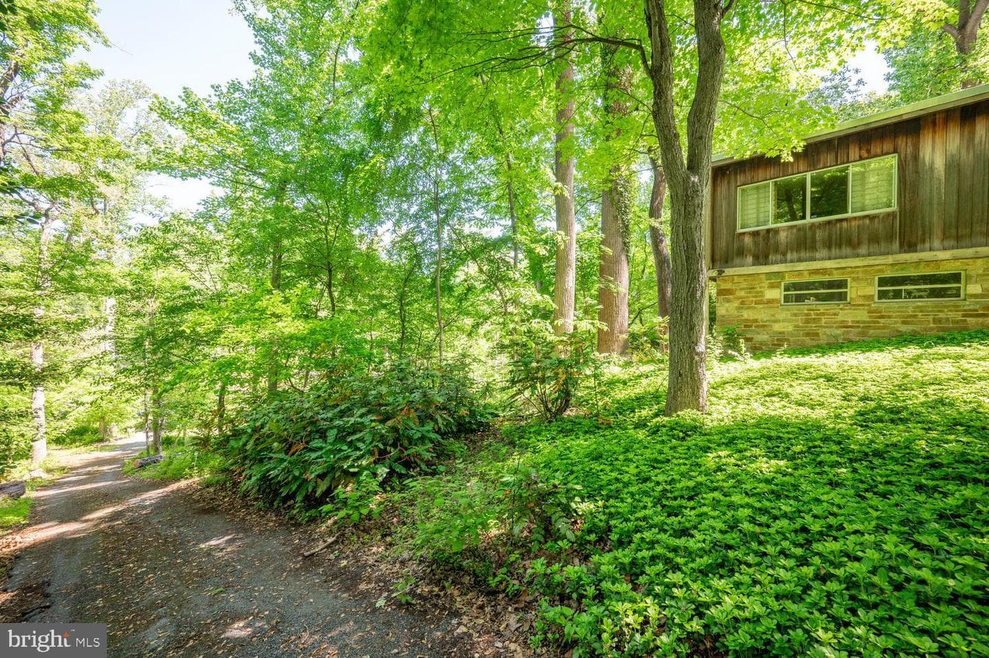 401 Willington Drive photo 44