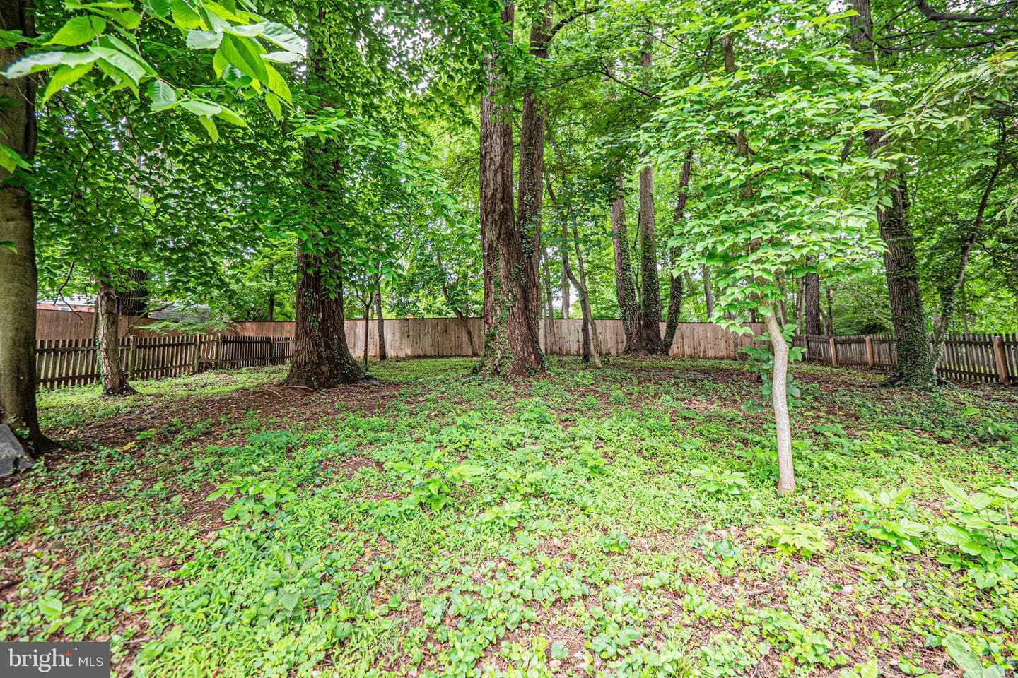 3901 Spruell Drive photo 37