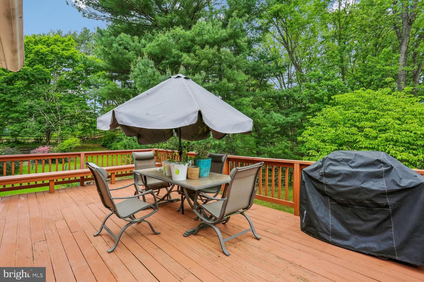 11301 Stryver Court photo 17