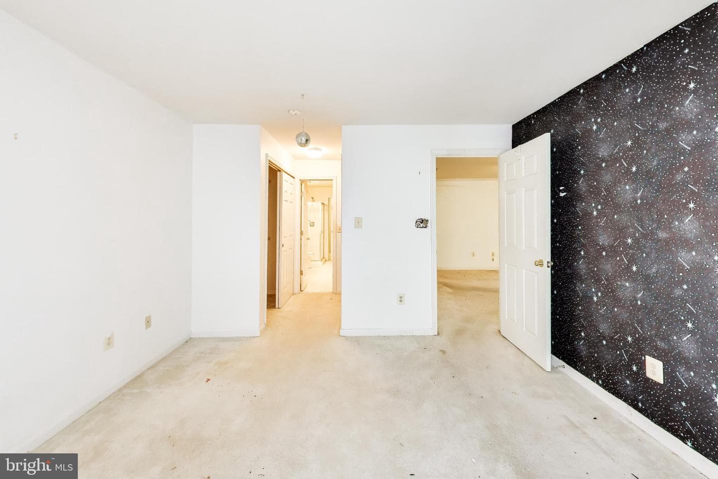121 Timberbrook Lane #203 photo 18