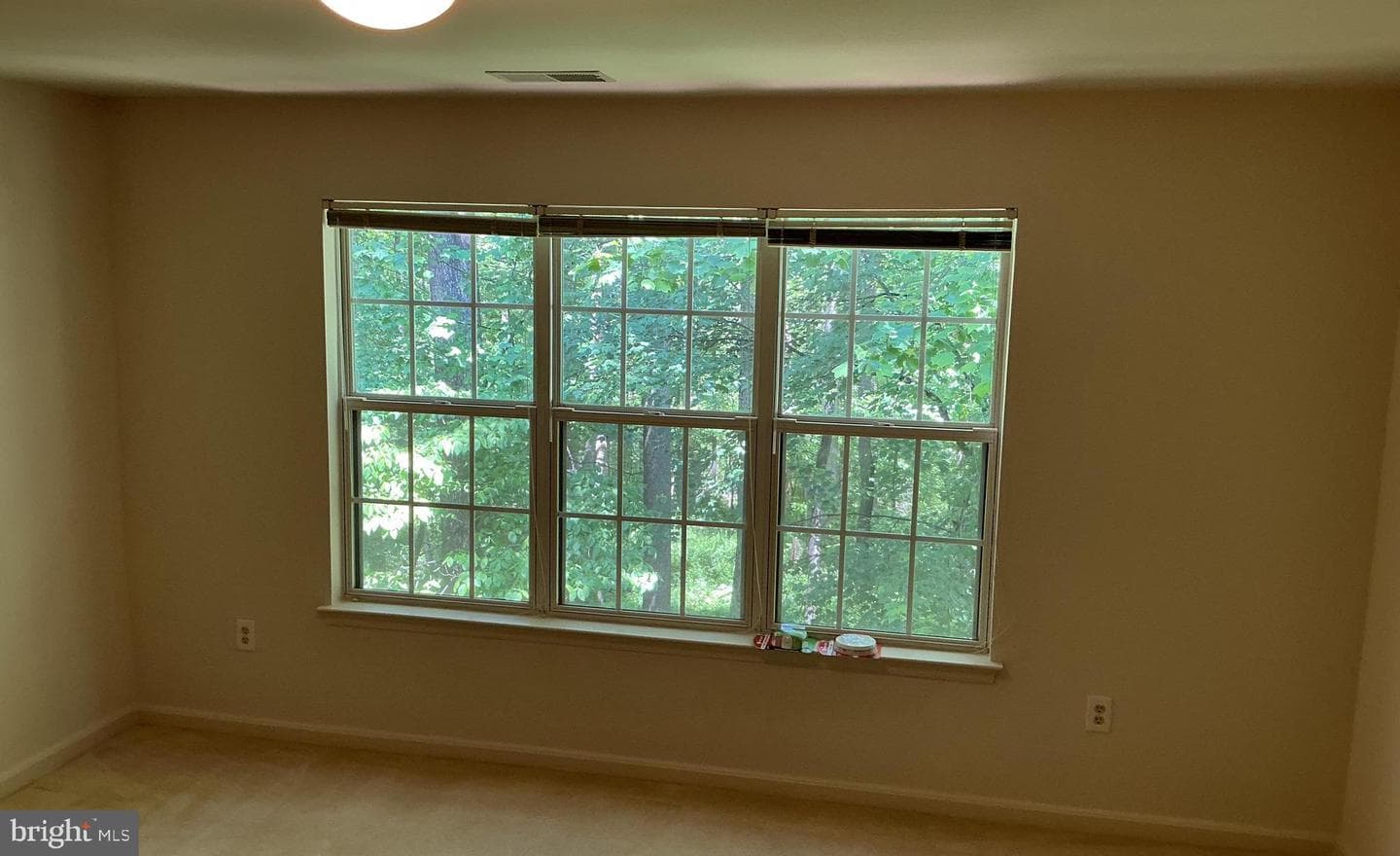 127 Timberbrook Lane #202 photo 14