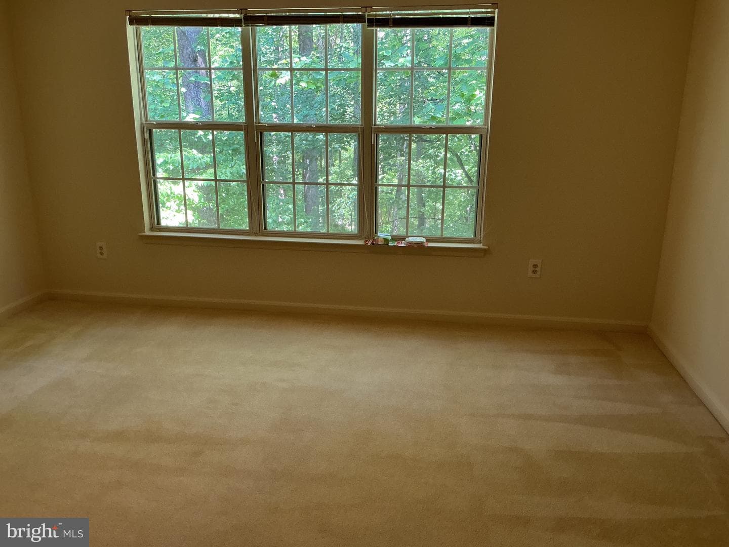 127 Timberbrook Lane #202 photo 15