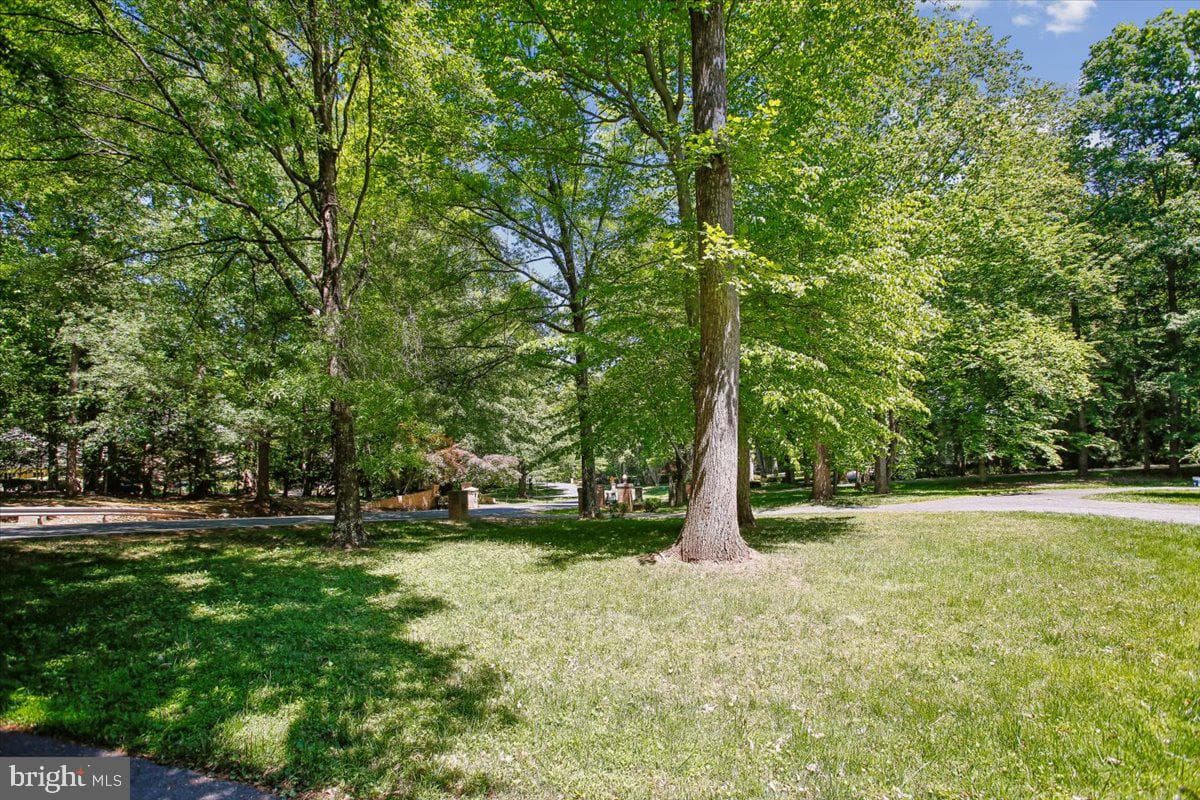9455 Newbridge Drive photo 56