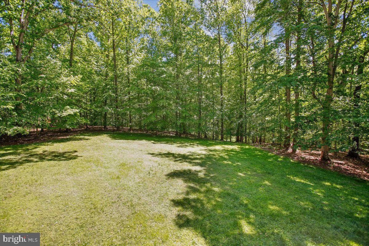 9455 Newbridge Drive photo 57