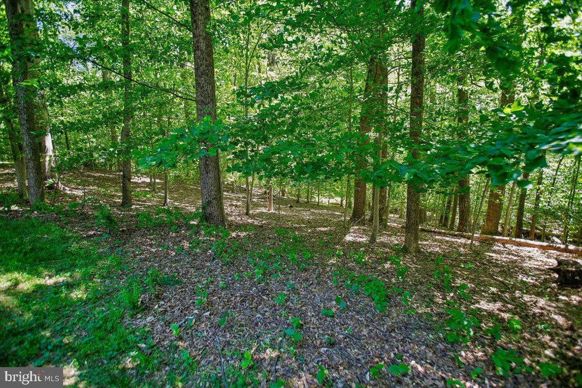 9455 Newbridge Drive photo 58