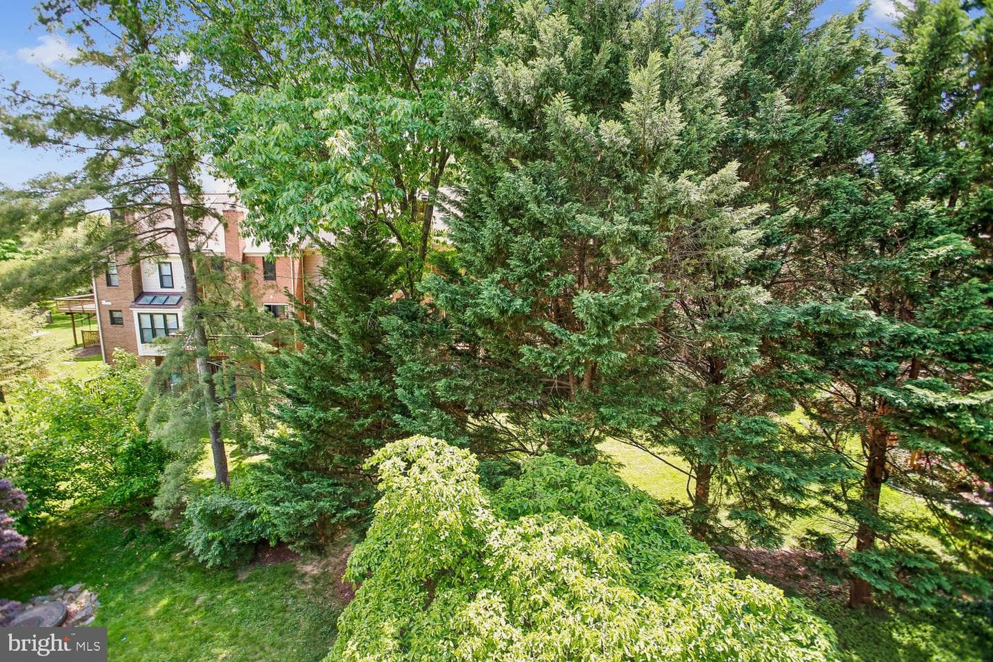 5229 King Charles Way # 1-6 photo 27