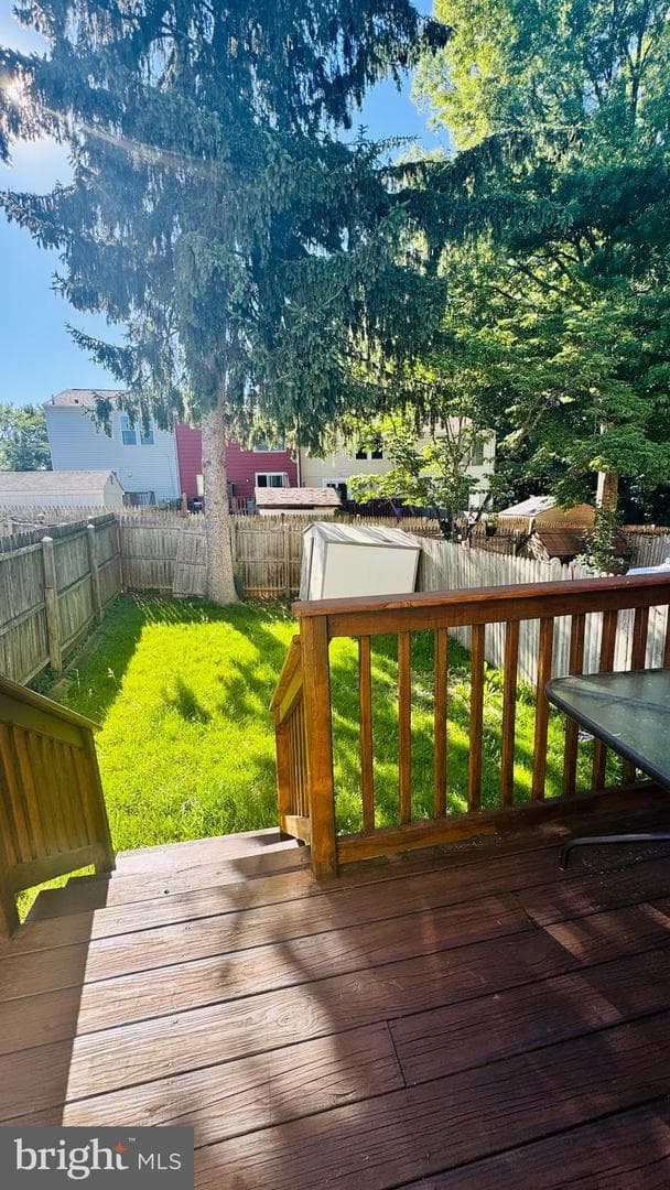 41 Shady Spring Place photo 33