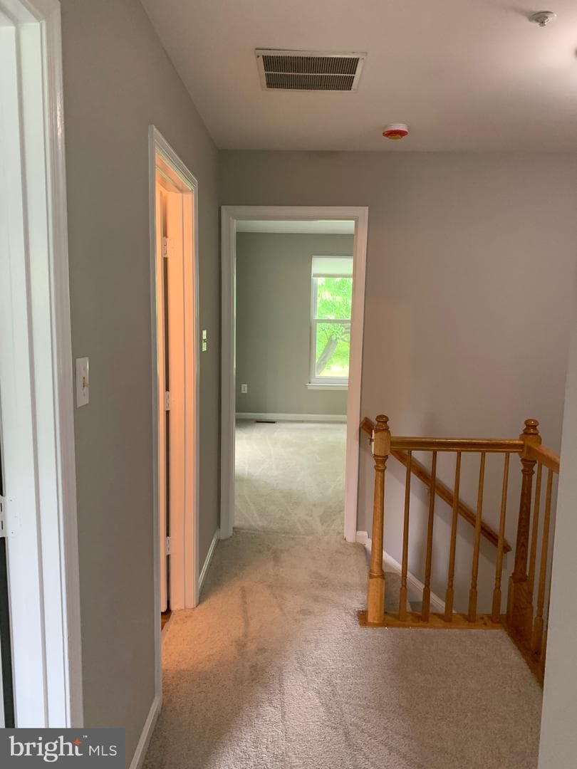2621 Telluride Place photo 77