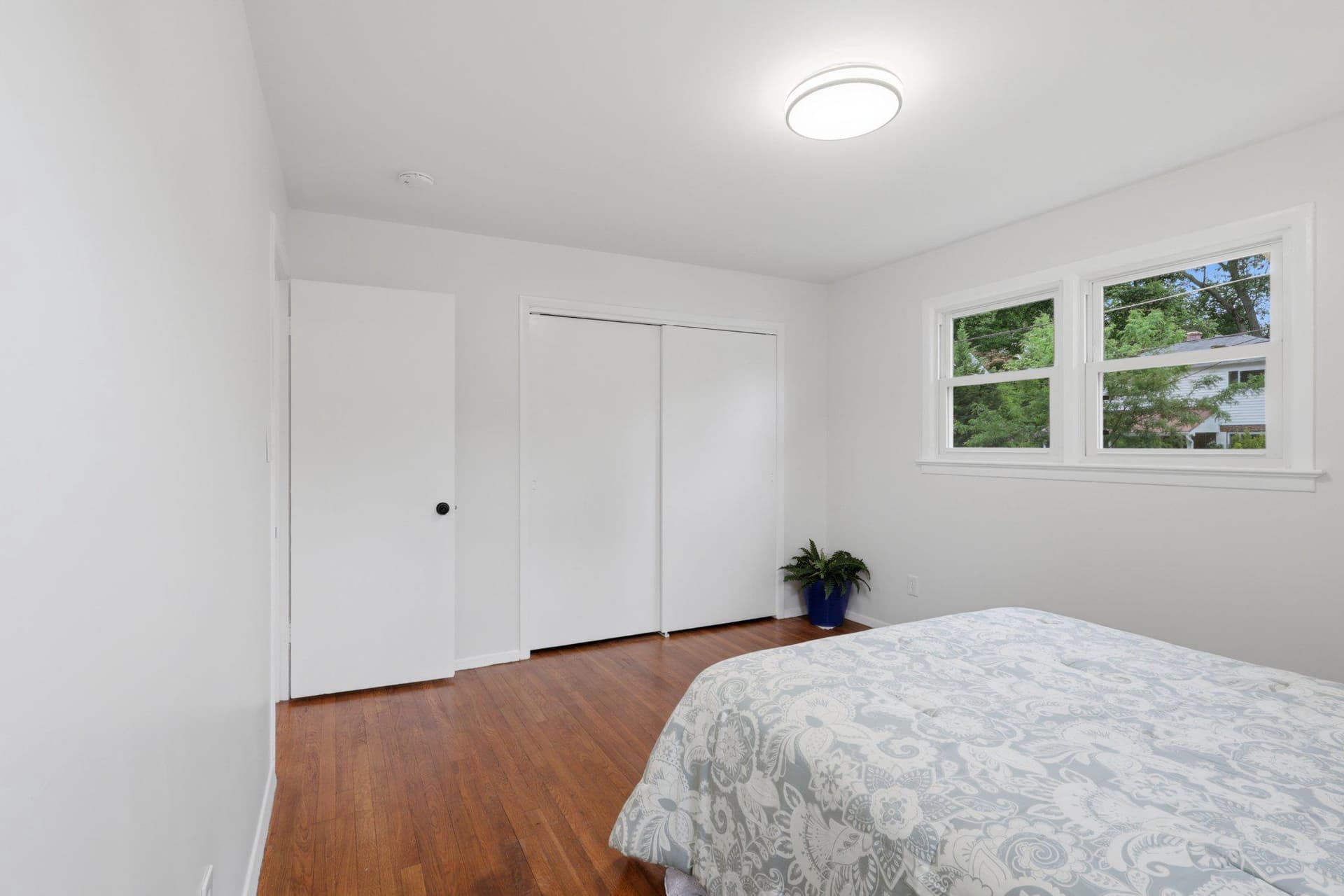 403 Carl Street photo 23