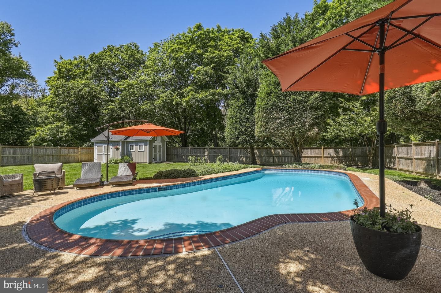 25904 Reva Drive photo 38